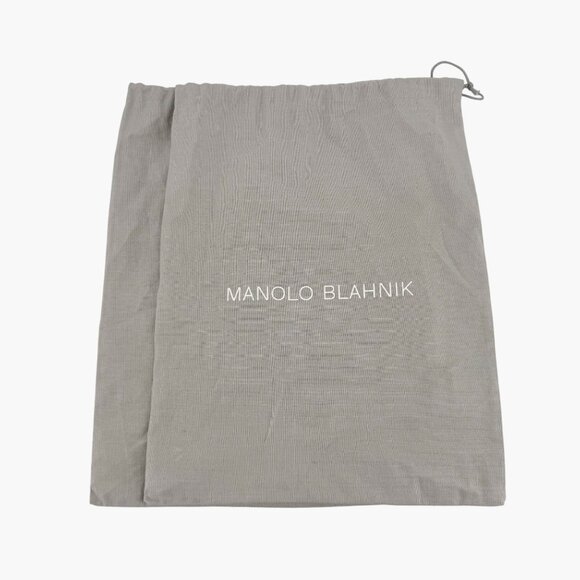 Manolo Blahnik Hangisi Pumps Heels Silver Size 39 US 9 Women Crystal Buckle - Picture 2 of 15